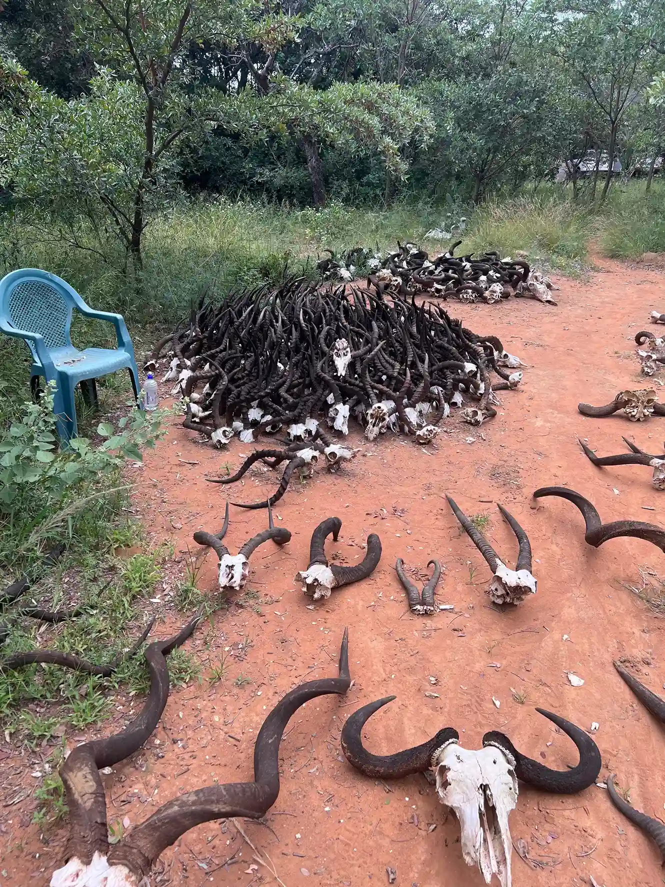 Curso de Cazador Profesional - Imagen 8